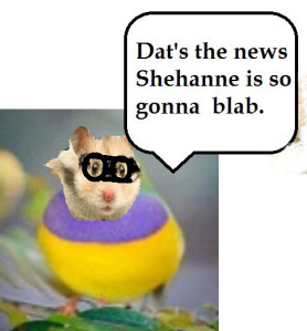 bitrds-bqyc4awciaaulky17