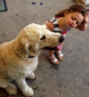 Dozer at Bethany Books 2