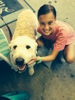 Dozer at Bethany Books 1