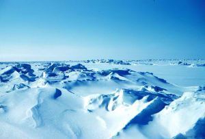 Beaufort Sea ice in 1949