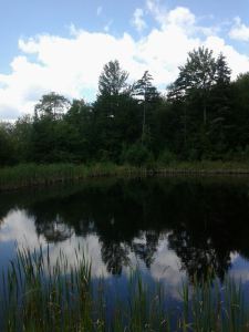 20130817_122601