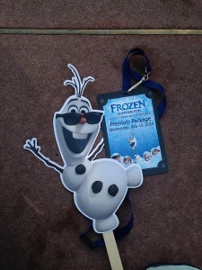 Frozen Summer Fun Premium Package Credentials