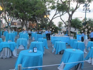 Frozen Summer Fun Dessert Party, outdoor set up - photo credit Kylene Hamulak