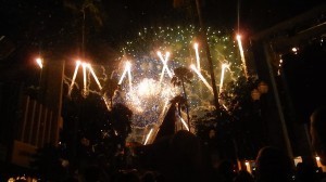 Frozen Summer Fun Fireworks - general access