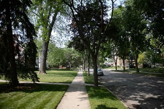 Wide, Shaded Streets I really liked the feel of Whitefish Bay -- Whitefish Bay, Wisconsin, United States -- Copyright 2014 Jeffrey Friedl, http://regex.info/blog/