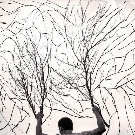 michael donnor, connections, photographer