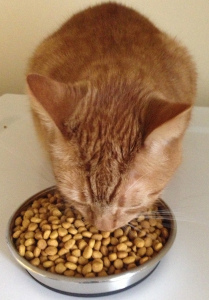 Morris has been inside for four years now. 