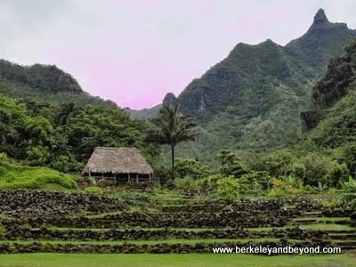 Limahuli Garden and Preserve in Haena, Kauai, Hawaii