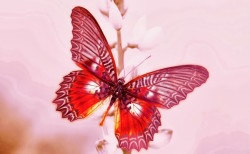 Woolf_Alla-fine-di-un-lungo-inverno (1)