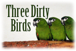 ThreeDirtyBirds-400
