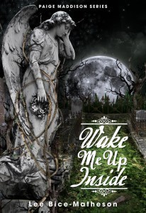 Book One, Paige Maddison Series by Lee Bice-Matheson