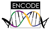 ENCODE_logo.png