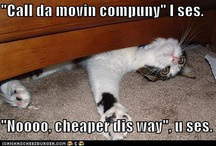 760f7bae6a2ab37fae3d345e2746b2db