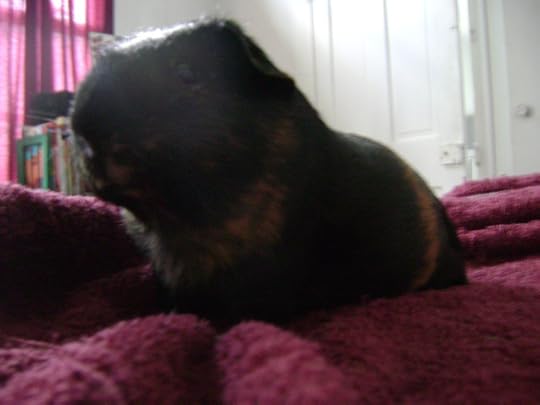 One time Duncan spoke to me in a dream in a very creaky high pitched voice and it messed with me substantially, so my caption isn���t totally anecdotal. 