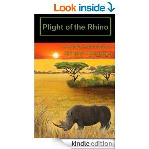 Plight of the Rhino