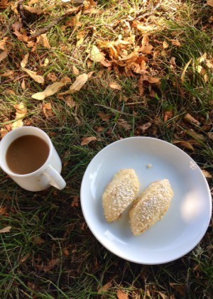 Fika i gräset - med utsikt över Mälaren. Precis som i De Skandalösa. Minus en muskulös greve dårå.