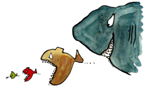fish