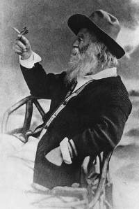 Walt Whitman (Library of Congress)