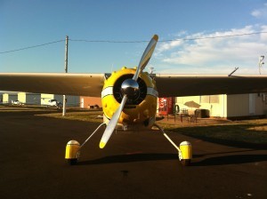 Happy Birthday, Gracie!