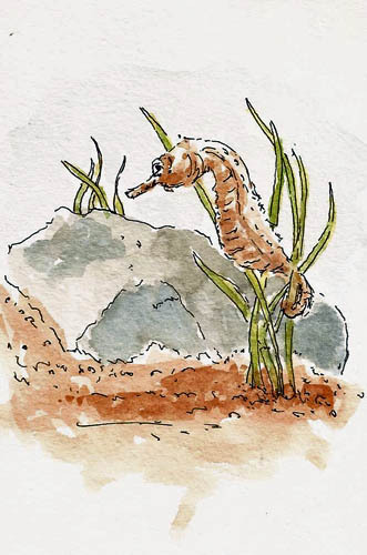 Moleskine watercolor notebook (3x5), Pilot Falcon, Platinum Carbon Black