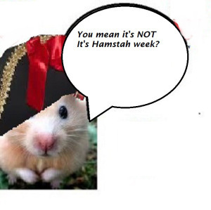 zxzxzxzx9889888787g50505050500ooo9