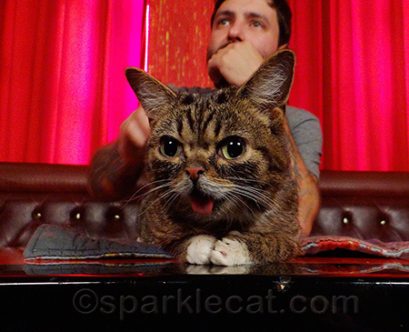 Lil BUB and her dude, Mike Bridavsky