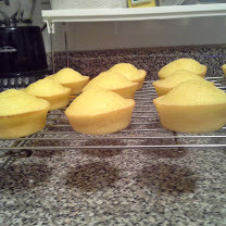 GF Lemon Cupcakes_Baked 1st Batch_8 9 2014