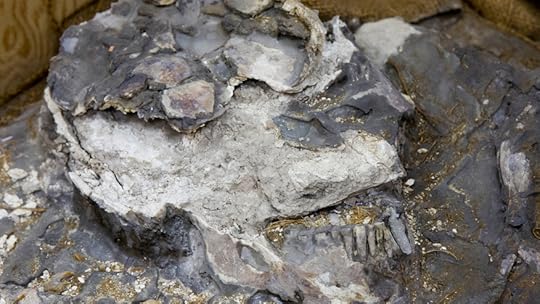 Ancient Skeleton_Admi.jpg