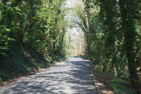 Getting Lost on The Path