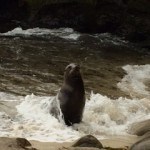 Joining us on shore.