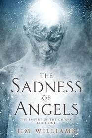 cover for The Sadness of Angels by Jim Williams