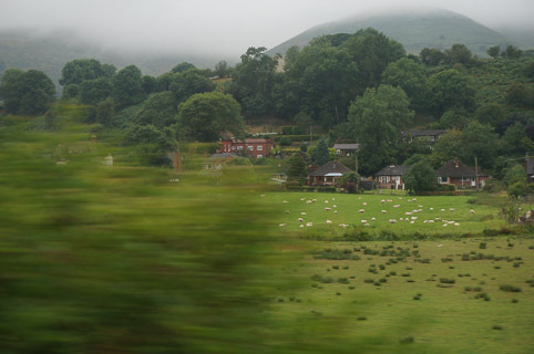 20140805-DSC01280