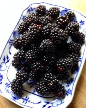 Björnbär. Goda - men SUPERsura.