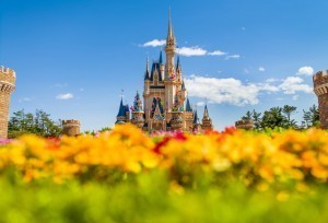 Photo courtesy of Tom Bricker