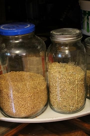 Dry Good Storage - safe from pests!