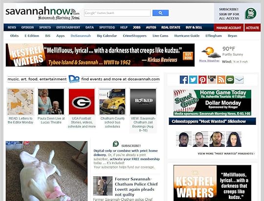 The Kestrel Waters _ Savannah Now _ Randy Thornhorn