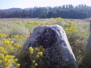 2014-08-09 09.02.18