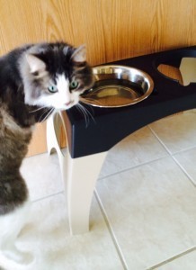 He looks guilty here. 