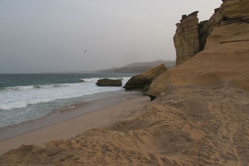 The beach at Ras Al Jinz