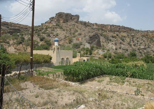 Terraced fields: that's corn growing down there! If you look closely in the fallow fields, you can see some flat rocks lying around. In the active fields, flat rocks like these are used like locks to direct water into some rows and keep it out of others.