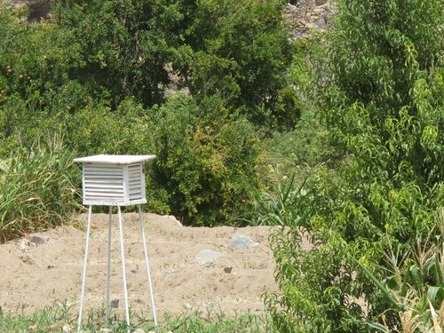 Keeping bees in the fields
