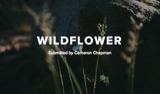 wildflower