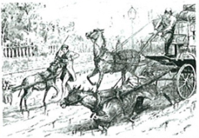 YESTERDAY-londons-working-horses-cab-horse