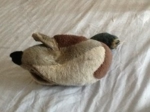 Zelda's best-beloved toy