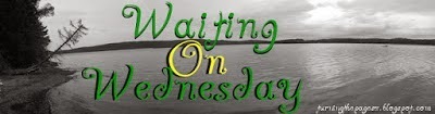 http://www.breakingthespine.blogspot.com/