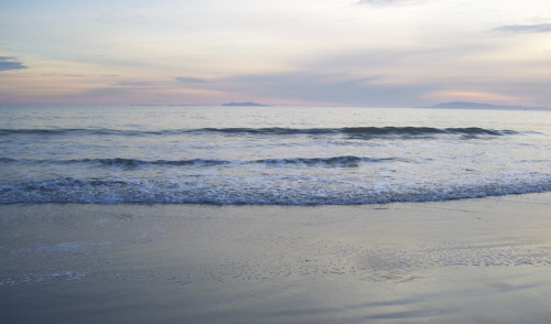surf