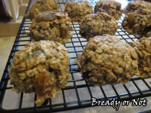 Healthy Breakfast Cookies4_sm