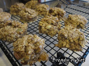 Healthy Breakfast Cookies2_sm