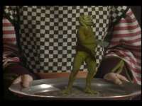 Frog Prince (Robin Williams)2