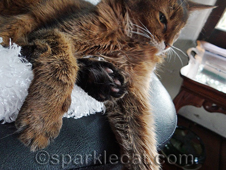 And yes, I am comfortable like this